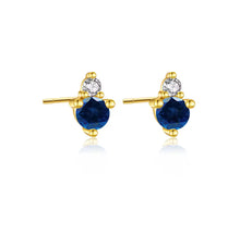 Cargar imagen en el visor de la galería, Paty Earrings