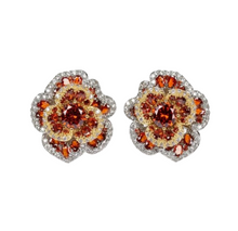 Cargar imagen en el visor de la galería, Roma Earrings
