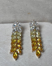 Cargar imagen en el visor de la galería, Vera Earrings

