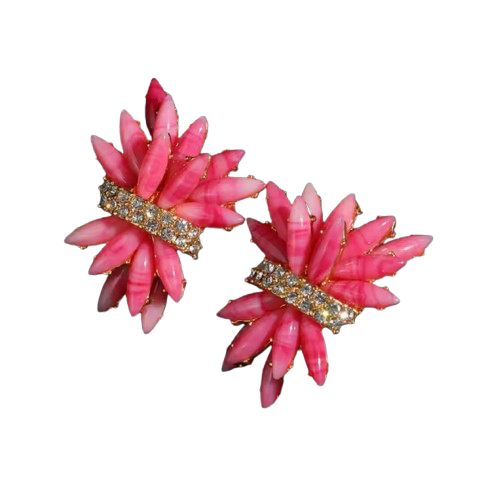Coral Earrings