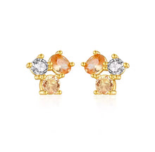 Cargar imagen en el visor de la galería, Ania Earrings
