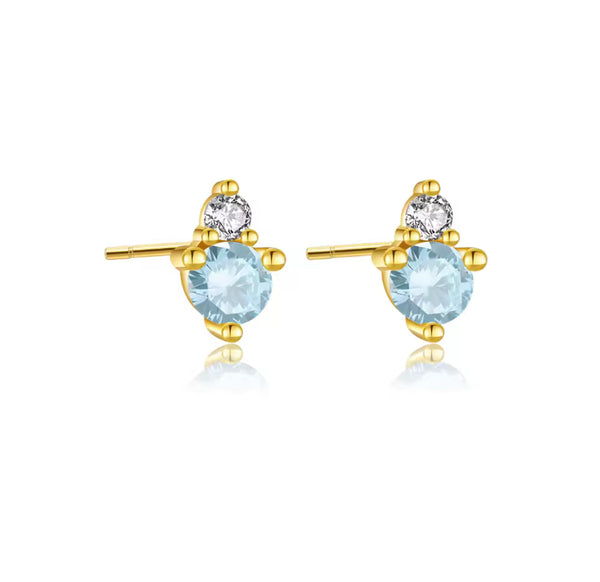 Paty Earrings