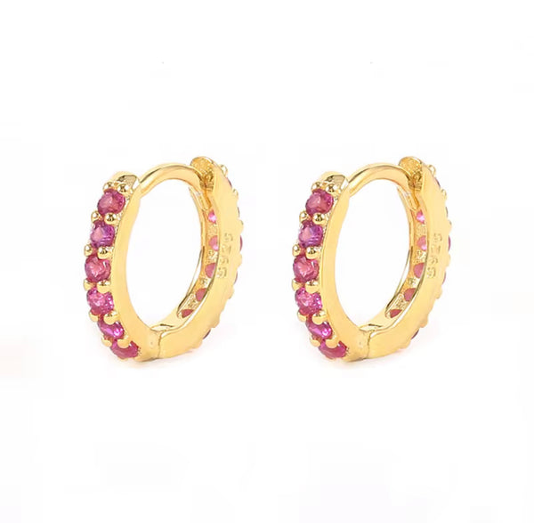 Dana Hoops