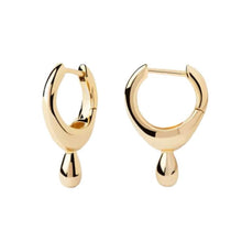 Cargar imagen en el visor de la galería, Paula Drop Hoops
