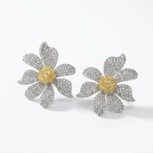 Cargar imagen en el visor de la galería, Delaware Earrings
