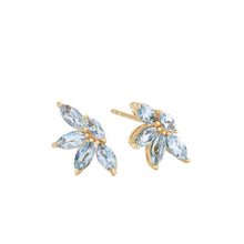 Cargar imagen en el visor de la galería, Goni Earrings
