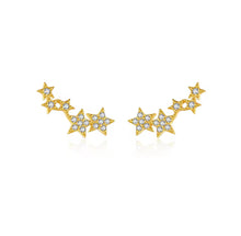 Cargar imagen en el visor de la galería, Nevada Earrings
