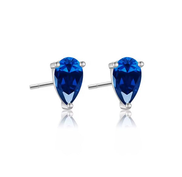 Gota Plateado Earrings