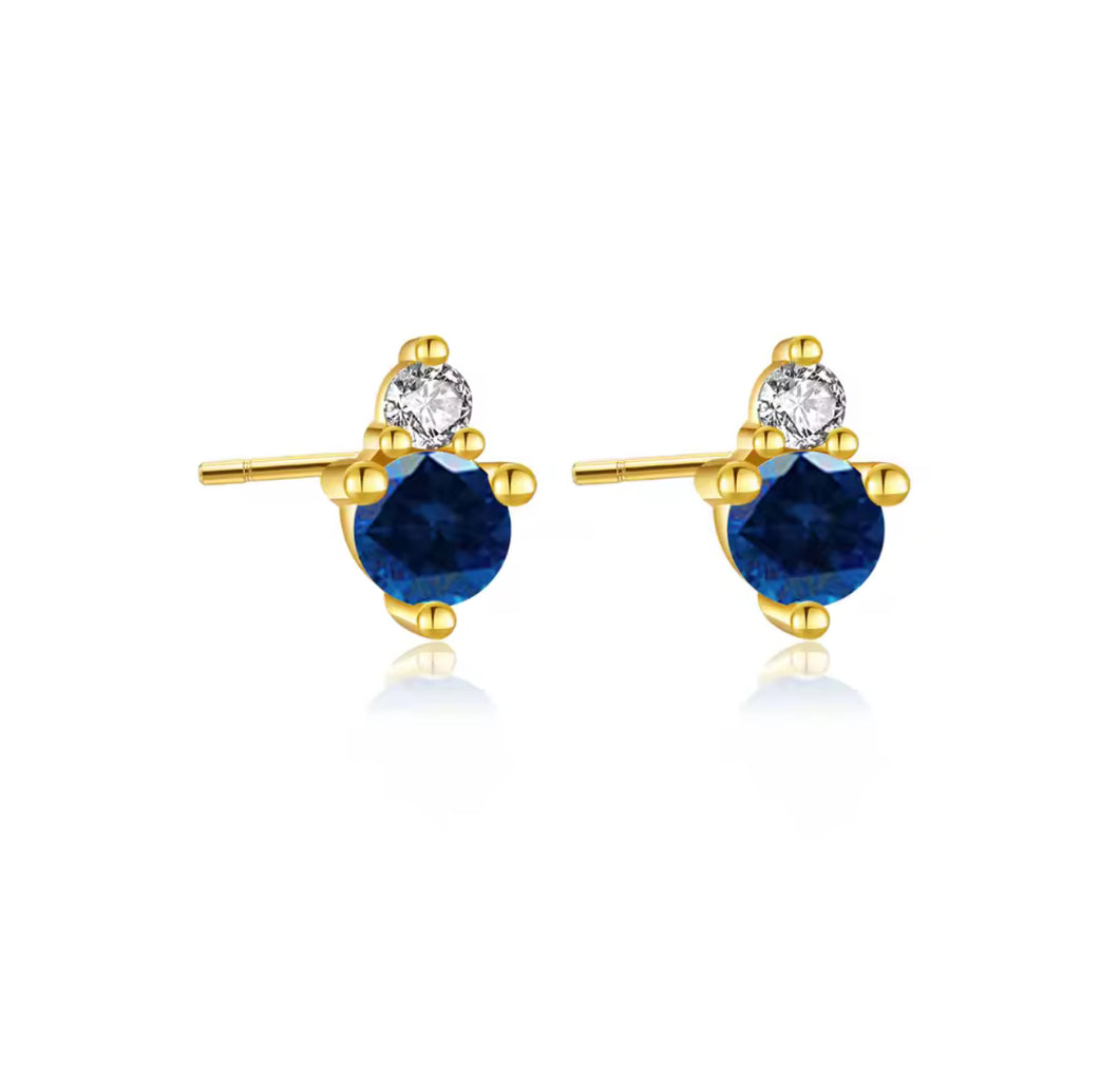 Paty Earrings