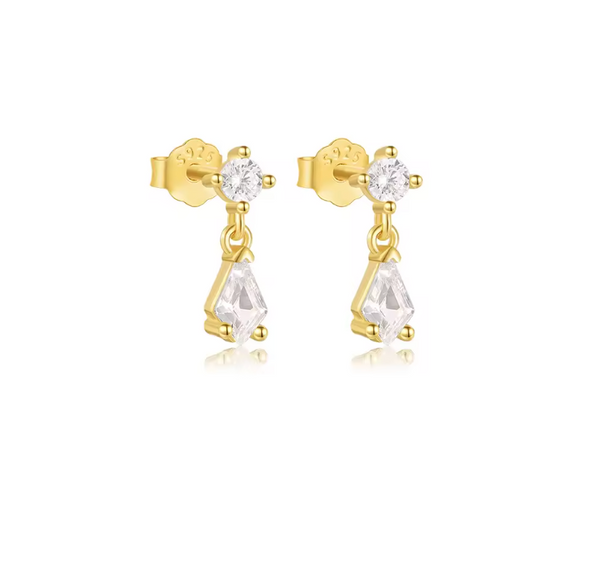 Dropy Earrings
