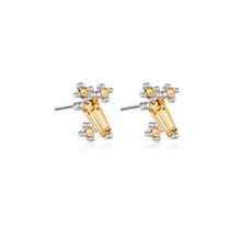 Cargar imagen en el visor de la galería, Camila Mini Earrings (Unidad)
