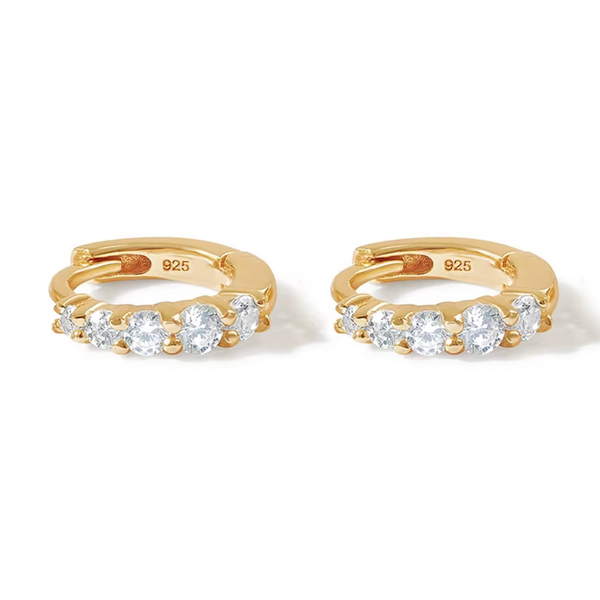 Zircon Hoops