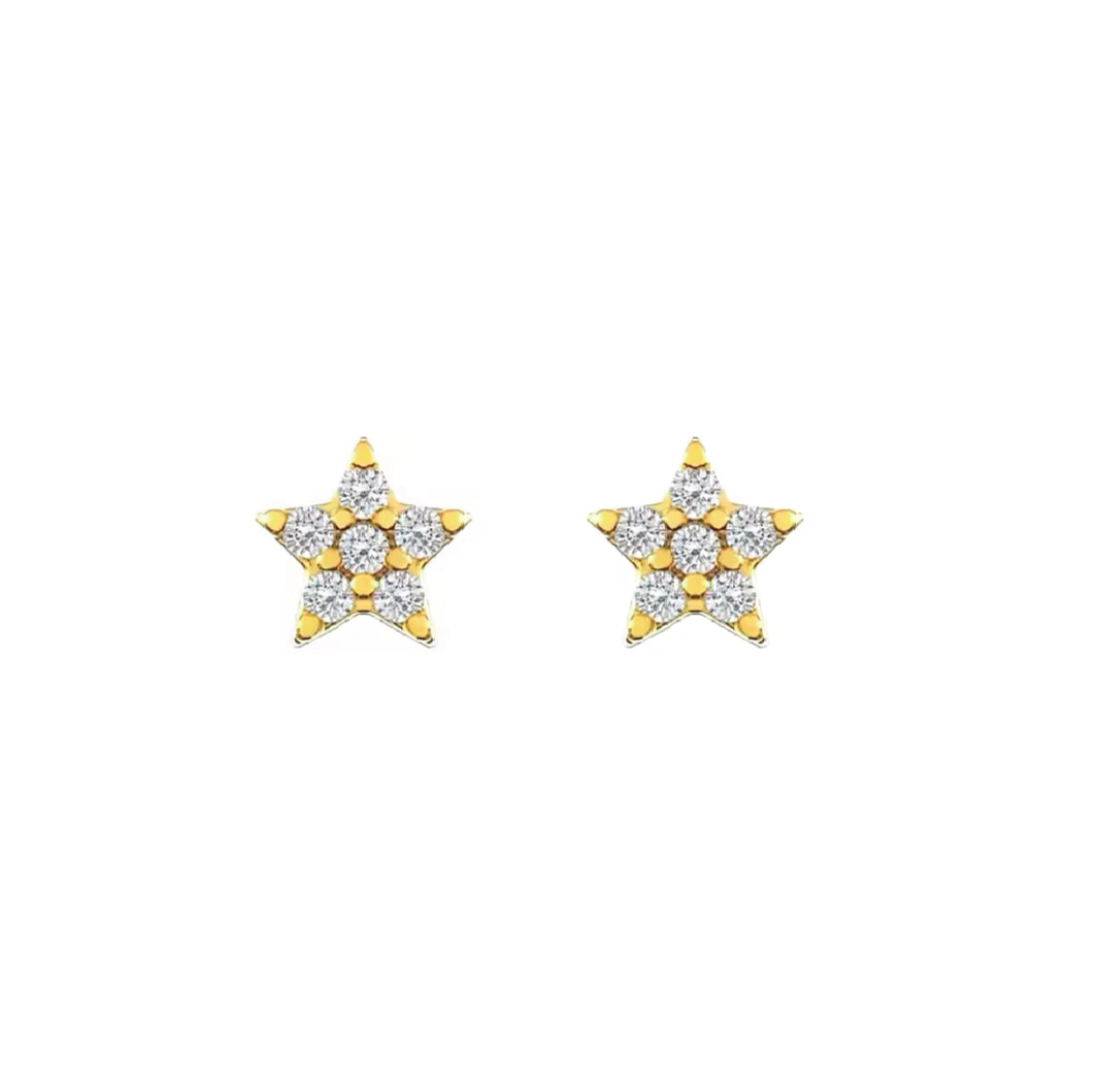 Stern Mini Earring (Unidad)
